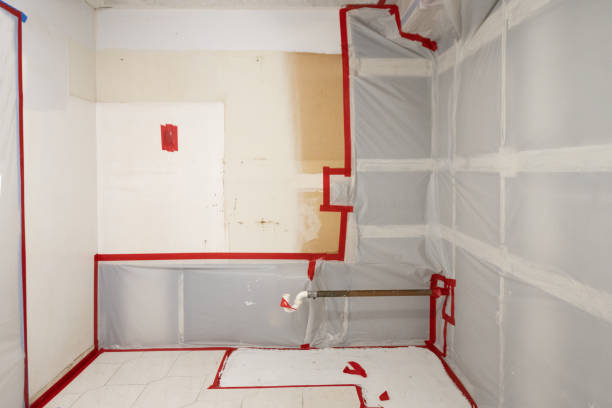 Best Airborne Mold Testing  in Rock Springs, NM
