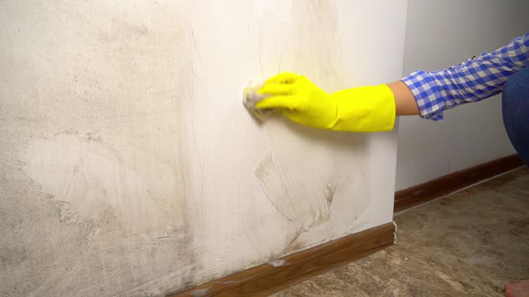 Best Emergency Mold Remediation  in Rock Springs, NM