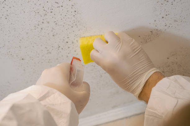 Best Post-Remediation Verification Testing  in Rock Springs, NM