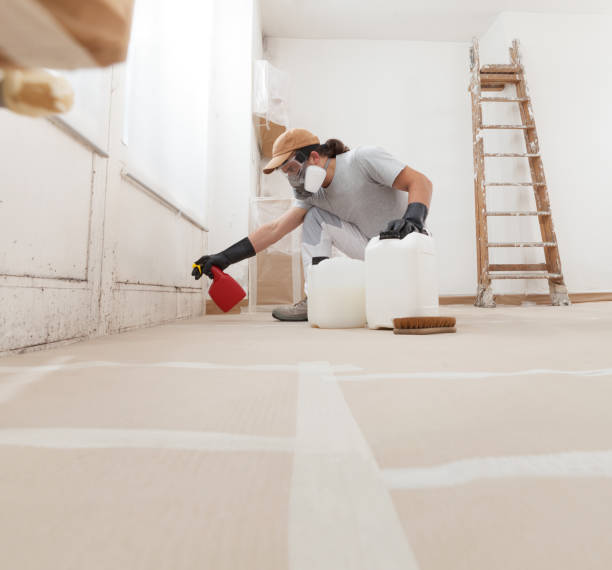 Reliable Rock Springs, NM Mold Removal Solutions